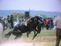 /album/galeria-de-fotos/pedro-henrique-060-jpg/